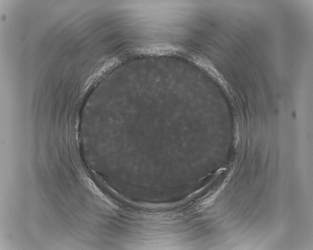X0000066090585200603241459