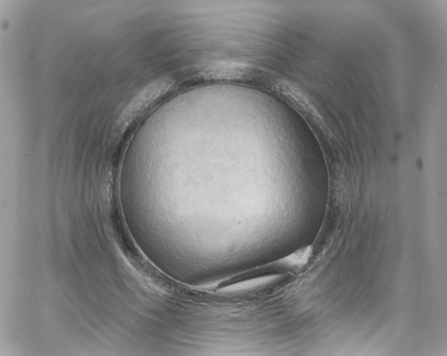X0000066090586200603241459