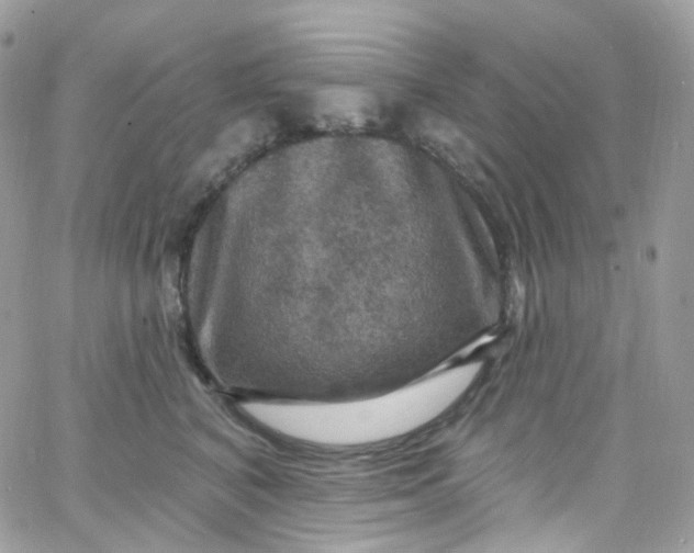 X0000066090616200603241458