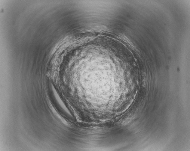 X0000066090634200603241458