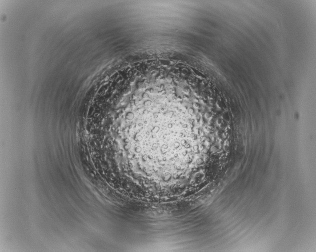 X0000066090644200603241458