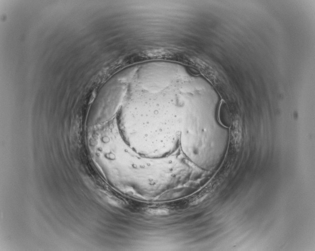 X0000066090653200603241458
