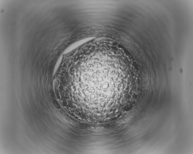 X0000066090654200603241458