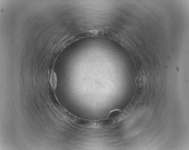 X0000066090656200603241458