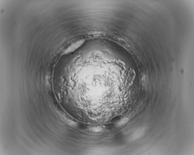 X0000066090662200603241458
