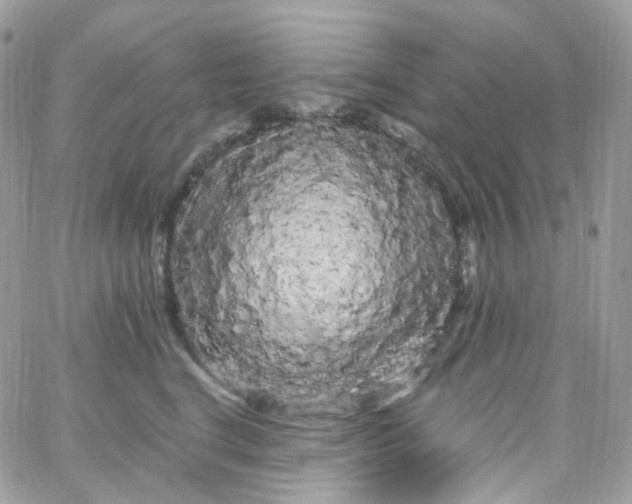X0000066090664200603241458