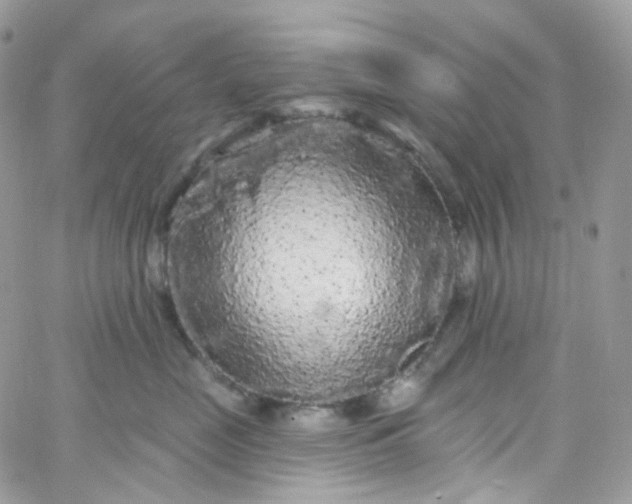X0000066090669200603241458