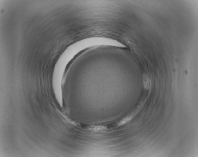 X0000066090670200603241458