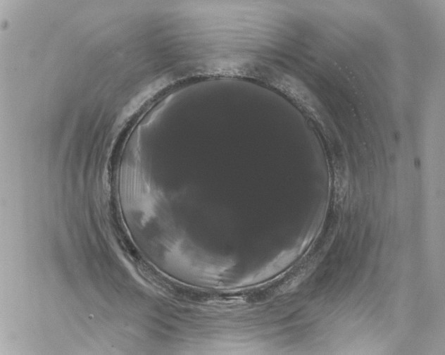 X0000066090674200603241457