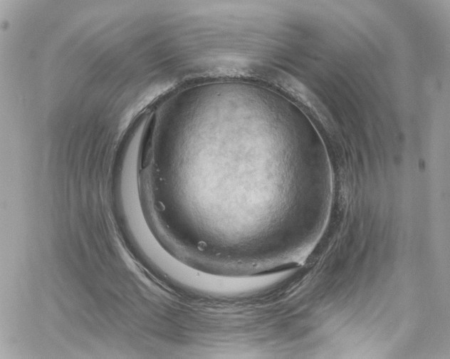 X0000066090677200603241457