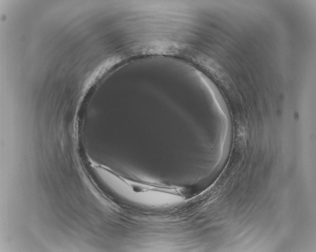 X0000066090678200603241457