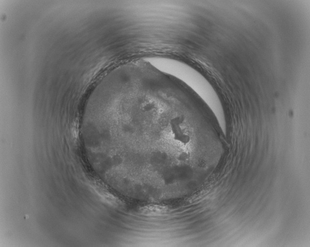X0000066090691200603241457