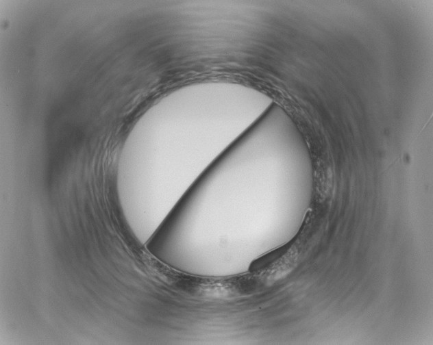 X0000066090704200603241457