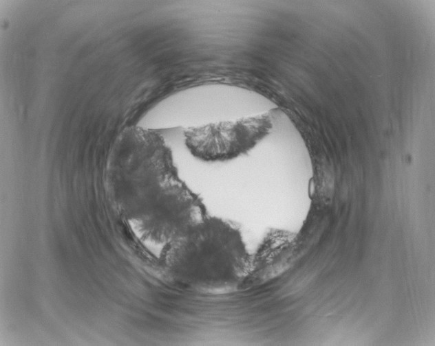 X0000066090711200603241457