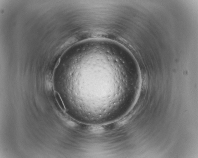 X0000066090719200603241457
