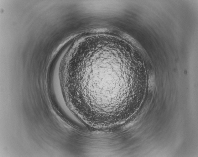 X0000066090722200603241456