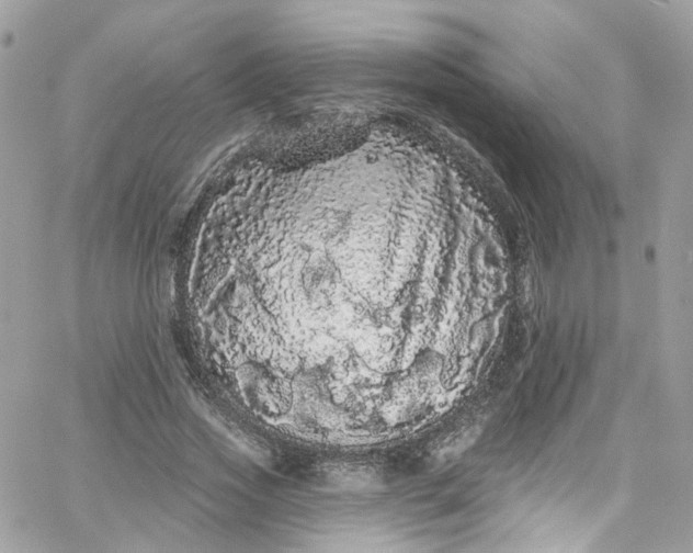 X0000066090733200603241456