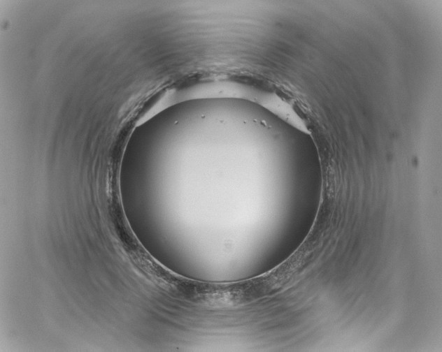 X0000066090740200603241456