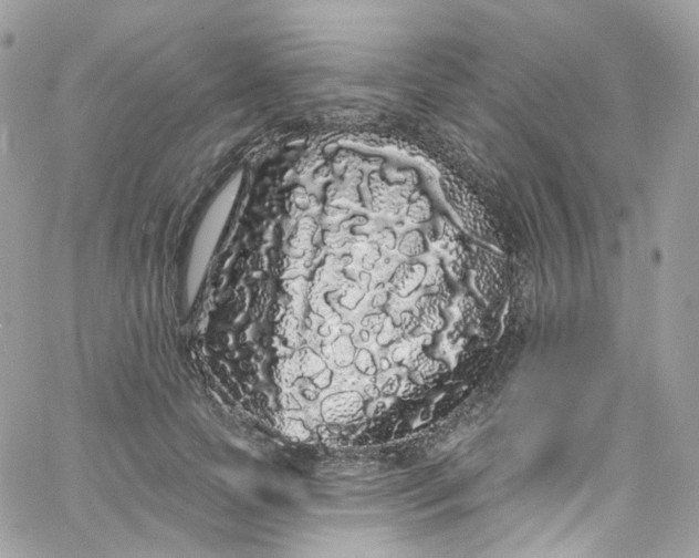 X0000066090745200603241456