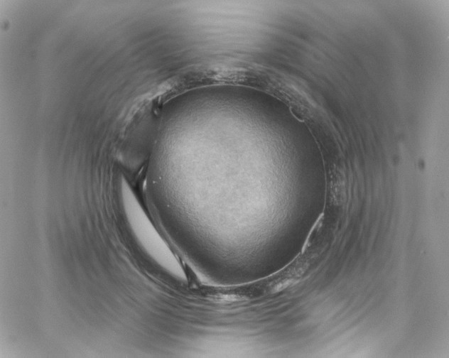 X0000066090748200603241456
