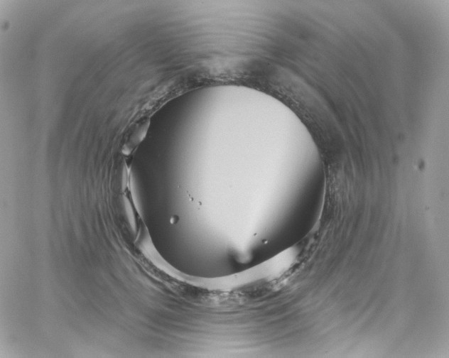 X0000066090752200603241456