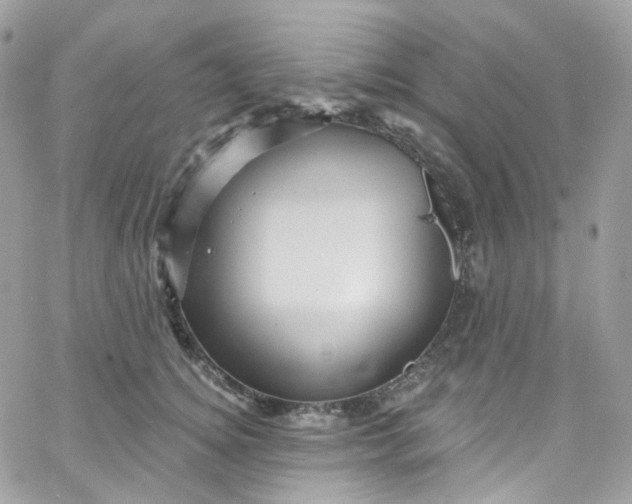 X0000066090756200603241456