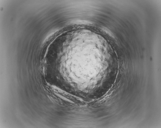 X0000066090775200603241456