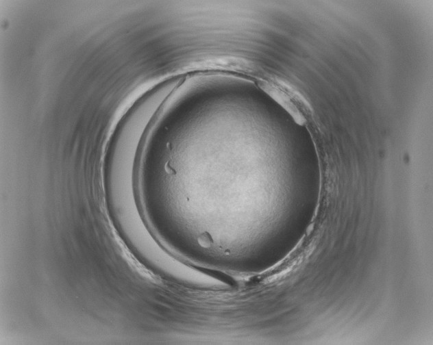 X0000066090792200603241455