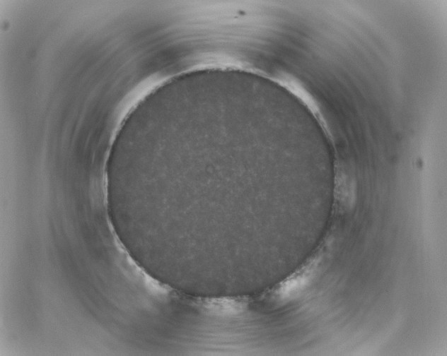 X0000066090807200603241455