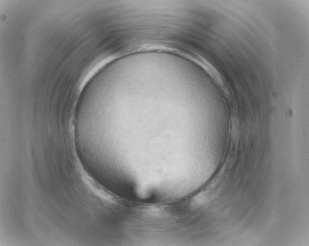 X0000066090814200603241455