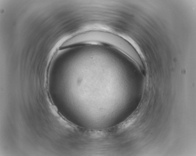 X0000066090815200603241455