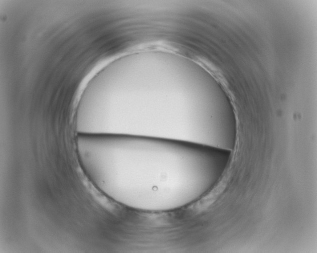 X0000066090816200603241455