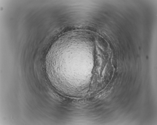 X0000066090817200603241454