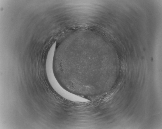 X0000066090818200603241454