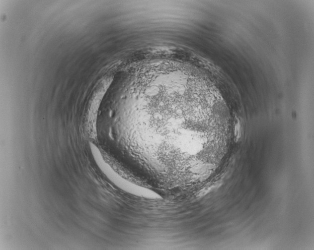 X0000066090819200603241454