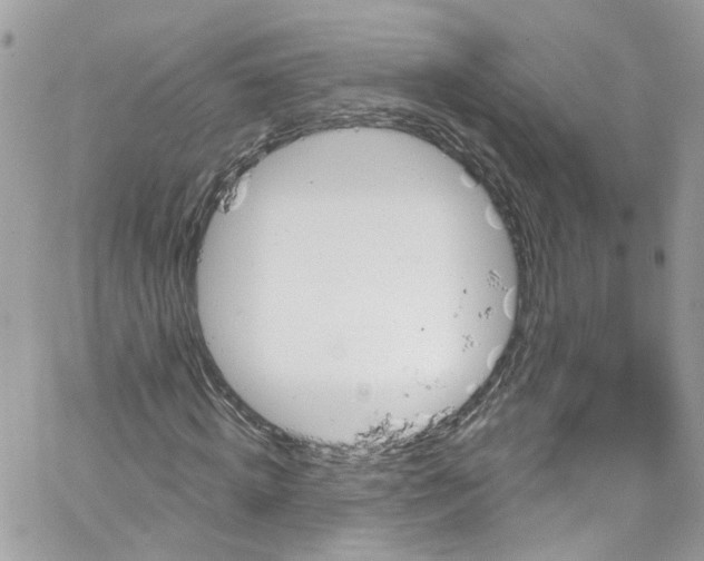 X0000066090820200603241454