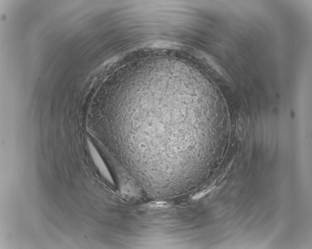 X0000066090821200603241454