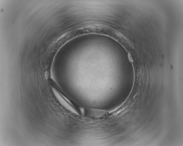 X0000066090822200603241454