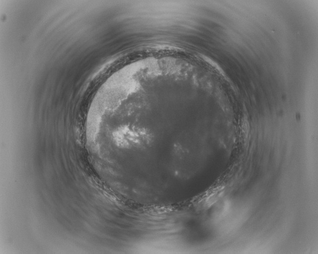 X0000066090823200603241454