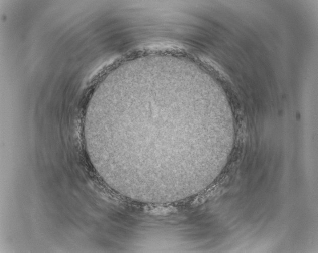 X0000066090824200603241454