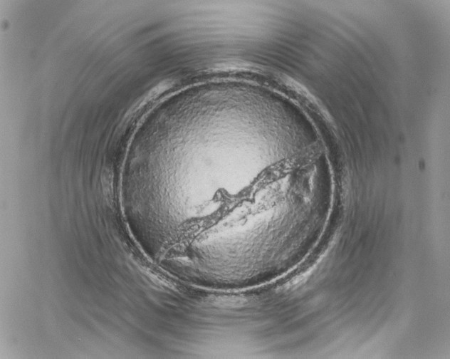 X0000066090825200603241454