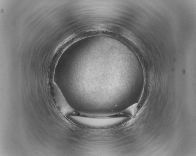 X0000066090826200603241454