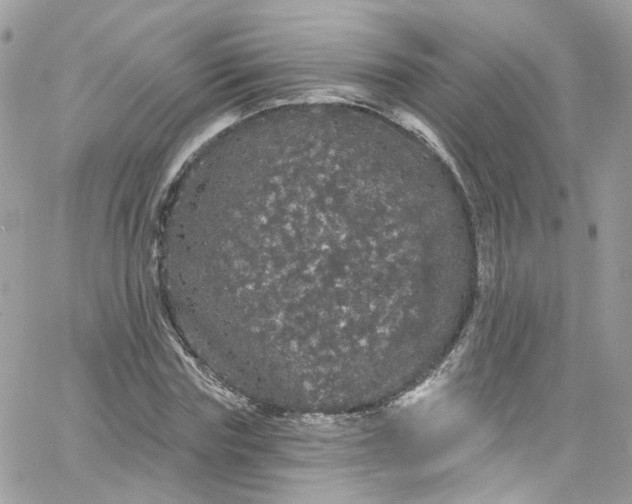 X0000066090827200603241454