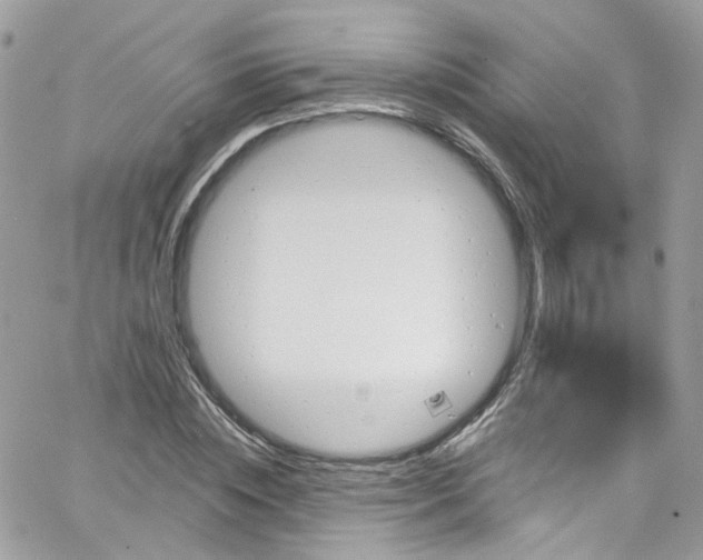 X0000066090828200603241454