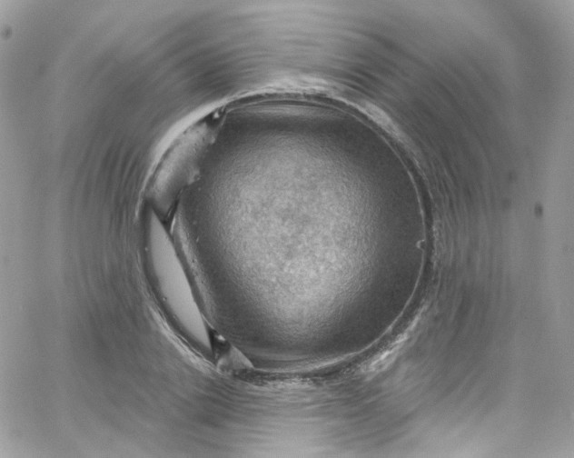 X0000066090838200603241455