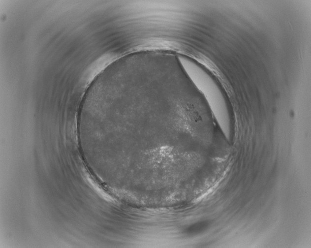 X0000066090842200603241455