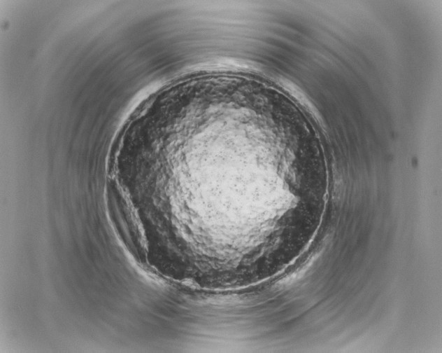 X0000066090845200603241455