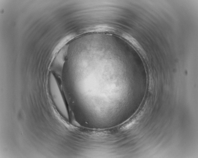 X0000066090850200603241455