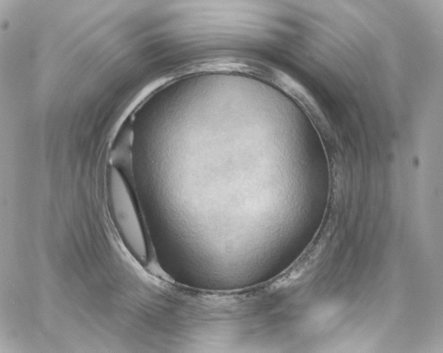 X0000066090852200603241455