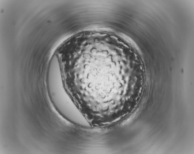 X0000066090855200603241455